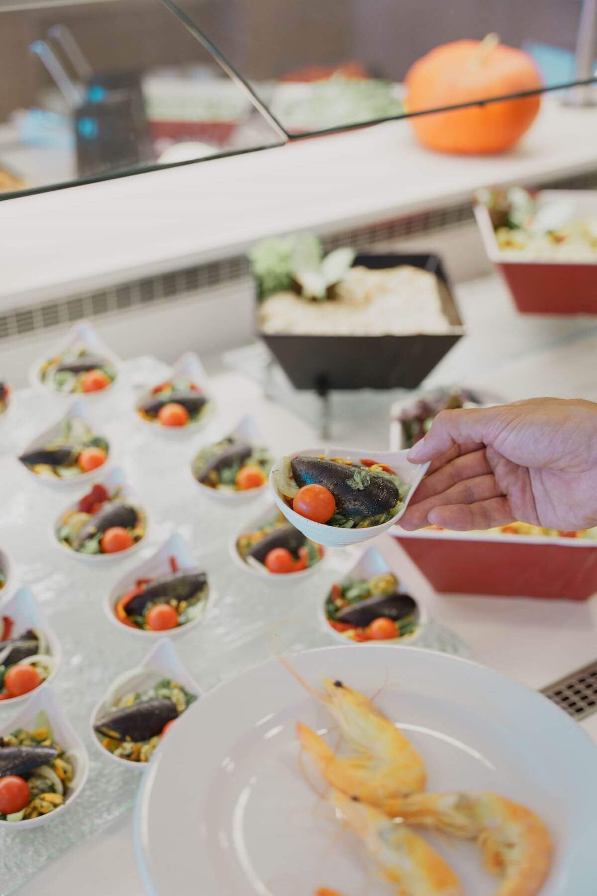 Panorama July 2023 Stefanos BeeDigital-43